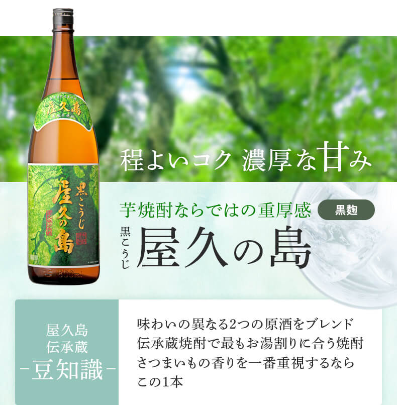 人気新品 5年 炭火焼2個付 6 いも焼酎 25度 熟成酒